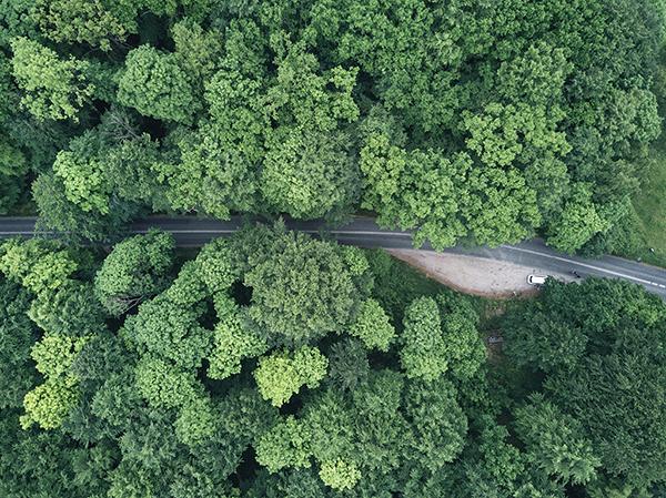 Sktst dk koerselsfradrag Skattestyrelsen Sktst dk koerselsfradrag Skattestyrelsen